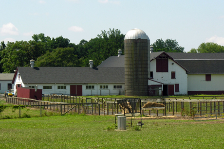 Ryders Lane Farm.