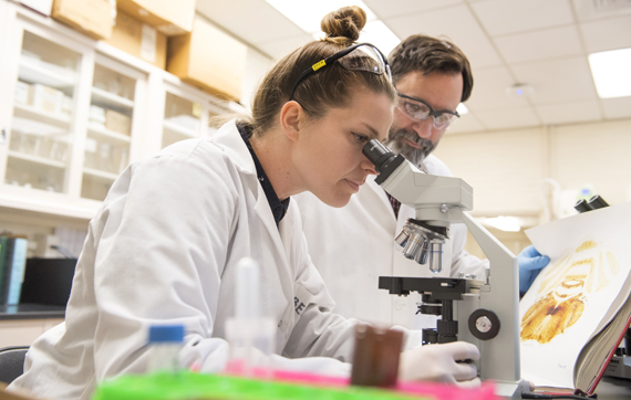 Grad student Brynn Sachdeo and Professor Nicholas Bello.