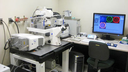 LSM 710 Confocal Microscope.
